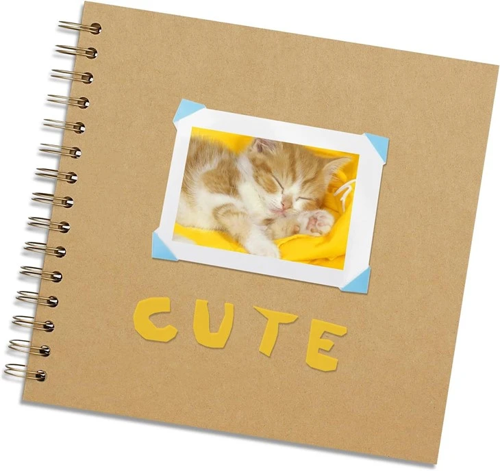 craft paper scrapbook album